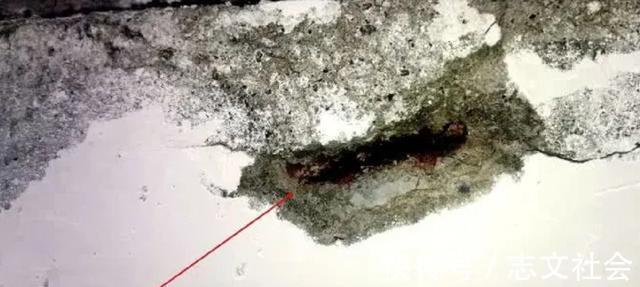 买卖关系|男子买套房,装修公司一看直接吓跑,开发商房子没倒,不要找我