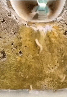 |搞笑GIF:不瞒你们说,我媳妇就是这么来的