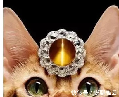 李甲|杜十娘宁愿选择投江自杀,也不愿意原谅李甲!百宝箱里都有什么?