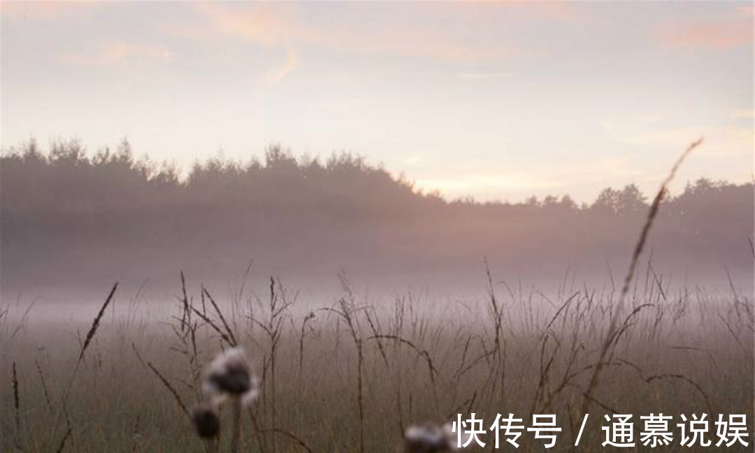 秋夜独坐&王维晚年写下的这首禅诗，通篇意境高远，同时每一句都有大智慧！