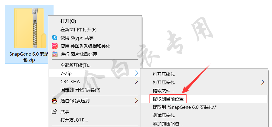 SnapGene 6.0中文版软件下载安装及注册激活教程-劳模下载