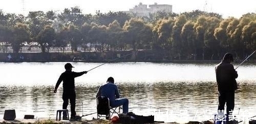 别人用玉米钓鲤鱼连竿,自己这里却没有口,原来问题出现在这里!