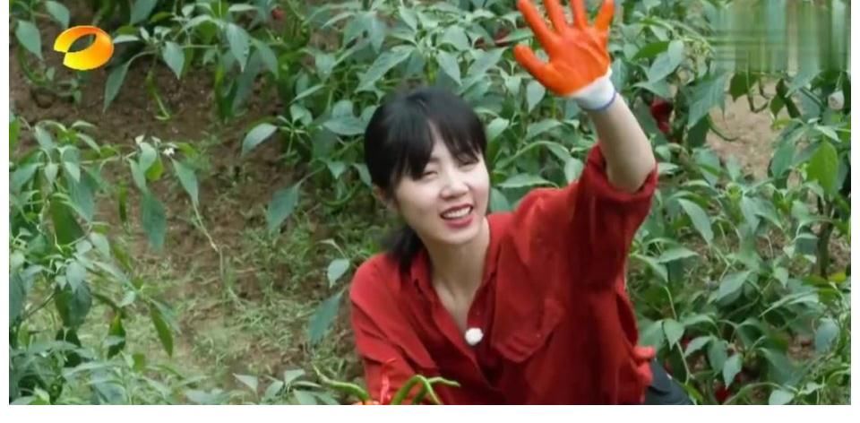 开心|《向往3》孙莉来了,黄磊终于迎来向往的生活,开心到落泪