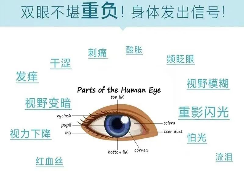 两眼|眼疲劳怎么办？每天15分钟，用它休息一下！