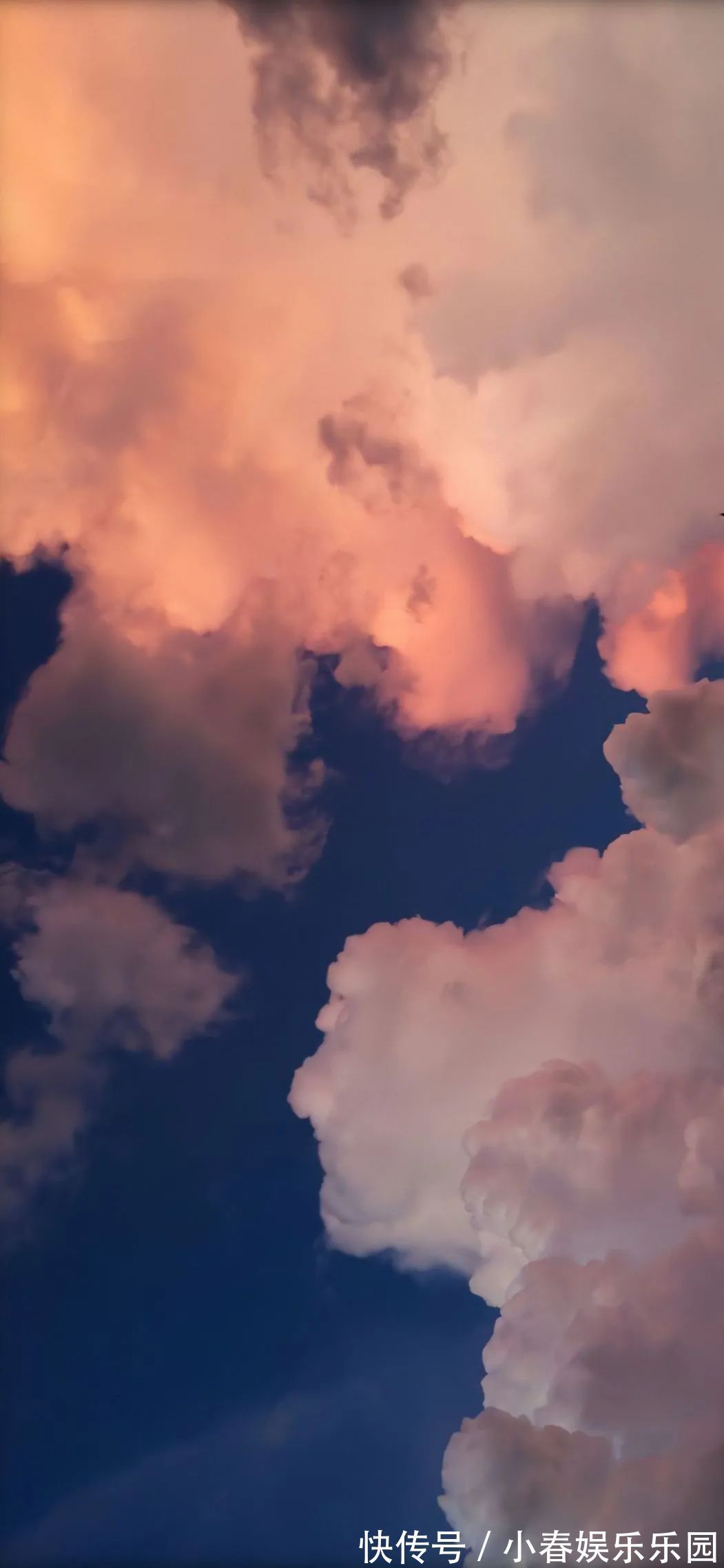 小姐姐壁纸丨一声梧叶一声秋,一点芭蕉一点愁,三更归梦三后