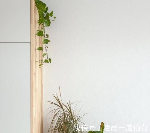 置物架|20㎡现代风格小一居，狭小却不拥挤，温馨又舒适，羡慕