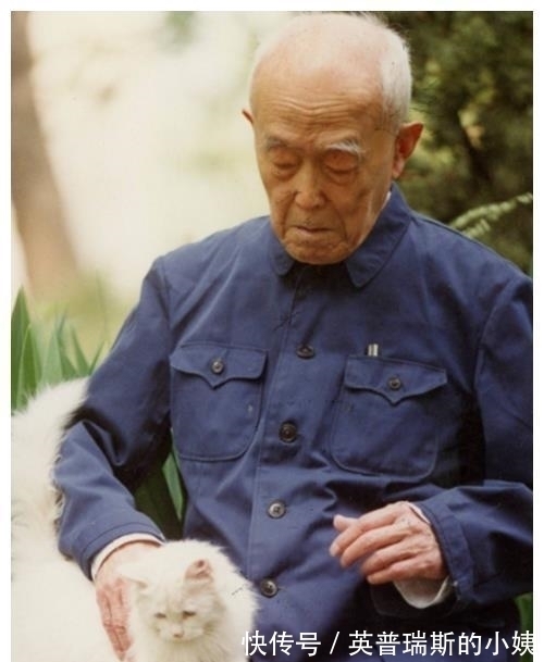 精神失常!28年后再揭底:当代大诗人顾城,37岁杀妻前,是否已精神失常?