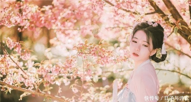 大宋!大宋第一狂词,作者骂遍古今文人不过瘾,更对一棵树有非分之想!