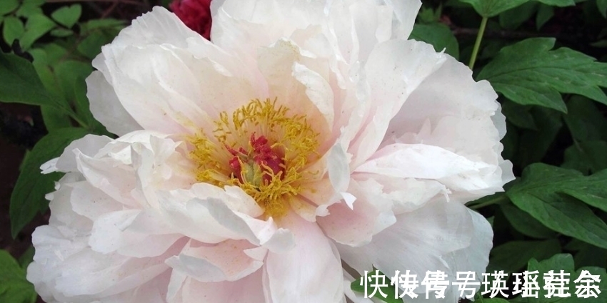 手软|最会“管老公”的三生肖女,管起老公毫不手软,却越管越有钱