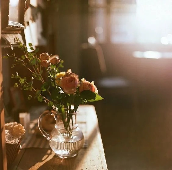 淡如水|中国人的生活美学:清淡如水,温暖如茶