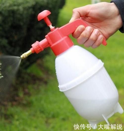 蜱虫叮咬的症状图片怎么样，家里如何消杀蜱虫