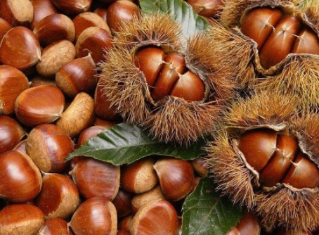 维生素c|把板栗放进微波炉里热一热，竟有如此神奇的用途，值得分享给家人