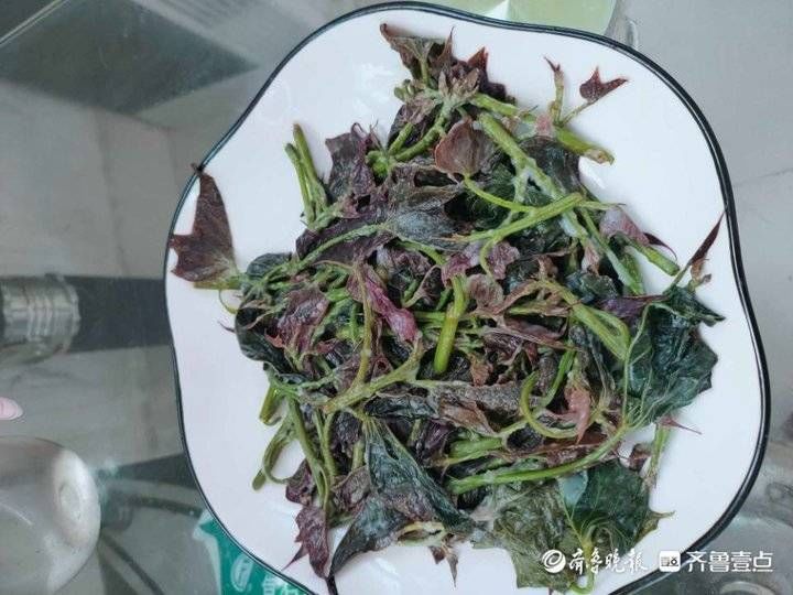 齐鲁晚报|壹粉食堂｜你吃过蒸红薯叶嘛？简单快捷又美味，一起了解下吧