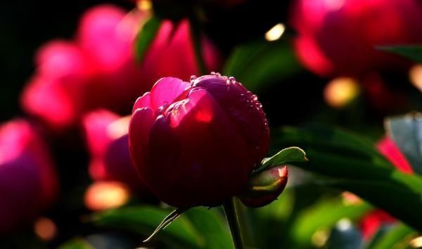 时辰|出生时辰暴露了你的财运,谁是天生财神命,12个时辰12种不同命