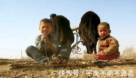 |搞笑图片幽默段子笑话：哈哈，狗子你咋变成这样了，谁帮你画的