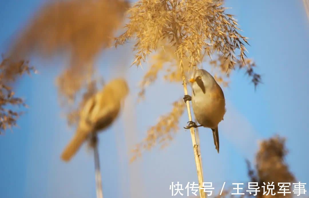 无用之物$以无用之事,修自在之心