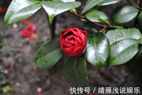 身边人&俗话:天狂有雨,人狂有祸,再有本事也别说4句话,才能福从口入