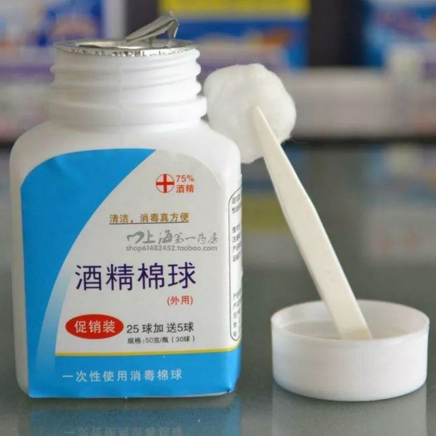 自制养花杀菌水,7天浇一勺,虫子全死光,再也不黄叶!