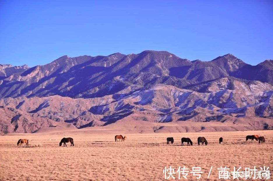 无故人#王维很有名的一首诗,语短情长,至今广为传诵