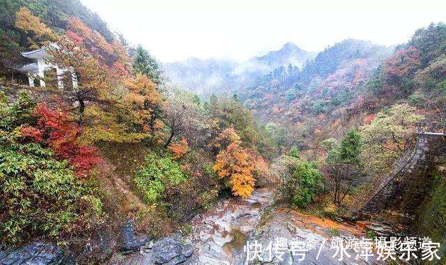 红叶|大别山“赏秋圣地”云海红叶人间仙境，现在正是最佳观赏期！