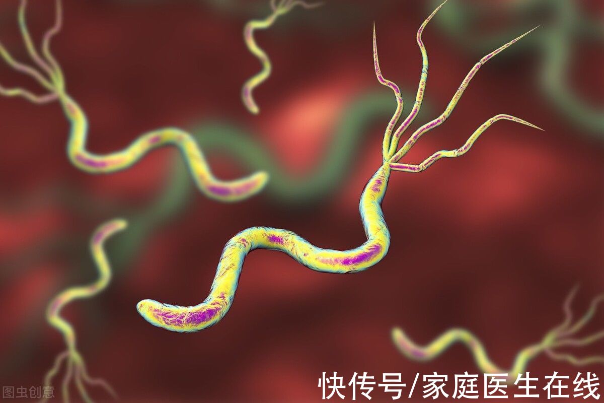 感染幽门螺杆菌|感染幽门螺杆菌就一定会患胃癌？别慌，没那么可怕，谨记这些常识