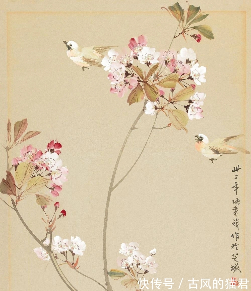 花鸟画!独特的魅力|张书旂花鸟画
