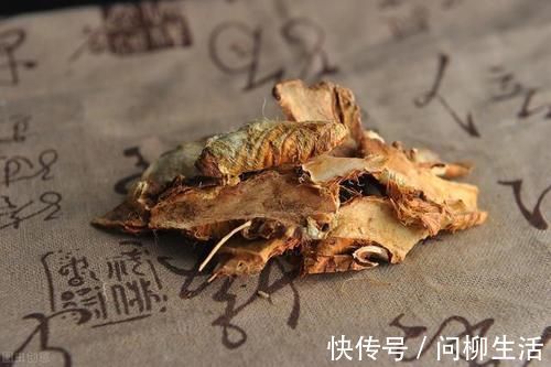 调理|有一味滋阴润燥的中药,李时珍说它“上则清肺,下则润肾”