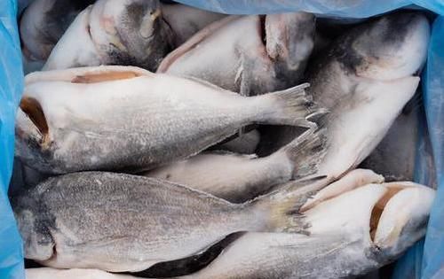 保存活鱼，别再直接放冰箱了，学会2个妙招，吃着跟新鲜的一样