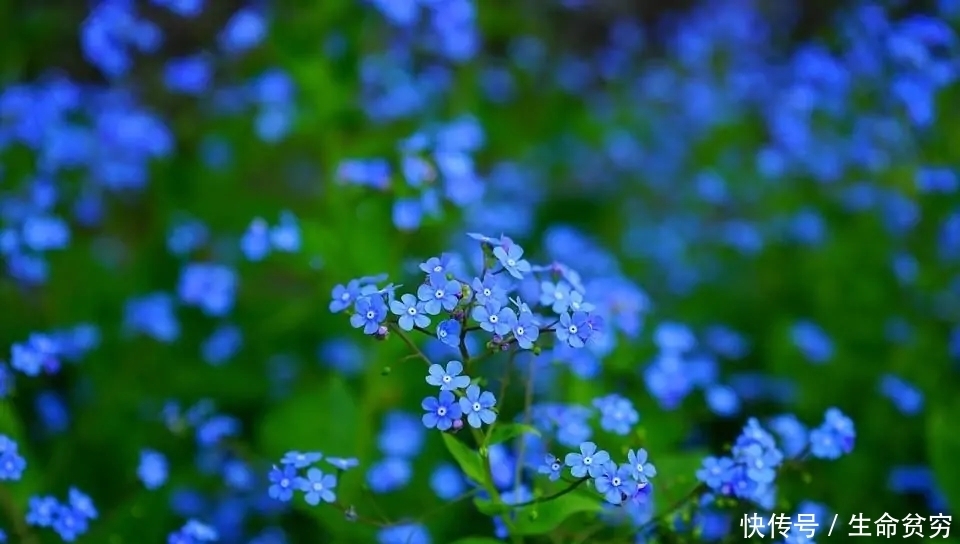 身边|人生:善待身边的这四个人,福运不请自来