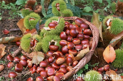 子宫|每次来月经,量都在变少?别急,多吃3种食物,子宫会慢慢变好