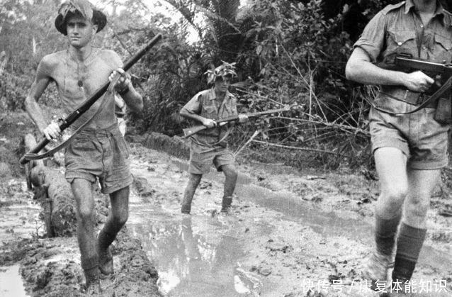 丛林|日军擅长丛林和海岛作战,为何在新几内亚岛输的一败涂地