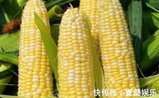 纤维素|让人倒下的不是病,而是无知吃玉米有3个禁忌,很多人不知道