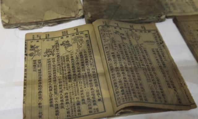 枸杞|孙思邈枸杞与它“天生一对”,连用7天,50岁也可壮如牛