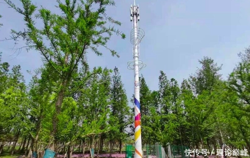 上海铁塔|5G助力!花博会三大运营商各显神通,还有量身定做的“花博塔”