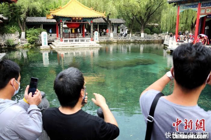 预警|甘霖未解趵突泉“难题”水位“橙警”线下徘徊超百日