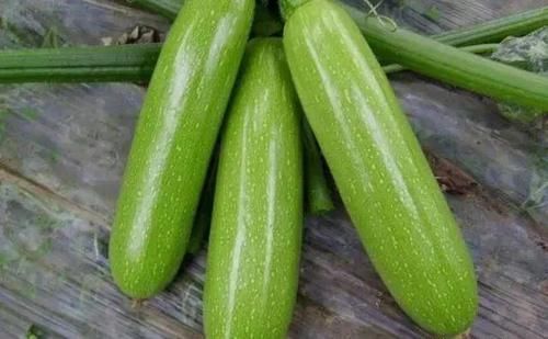 夏天,给家人做这早餐,不发面不揉面,外酥里鲜,简单又好吃