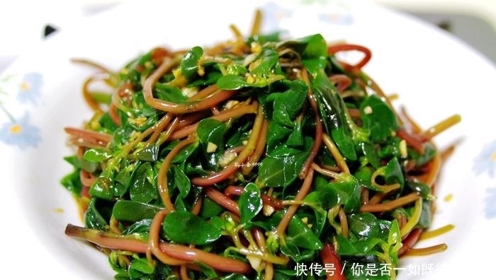 妙用马齿苋做出的美食,赶快试试吧!