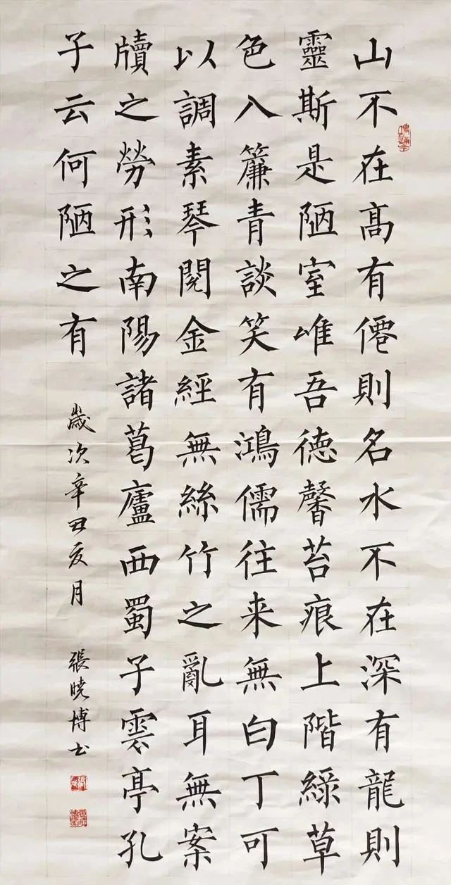 筋骨|自古英雄出少年!11岁张晓博秀柳楷,筋骨尽显,瘦硬通神,佩服