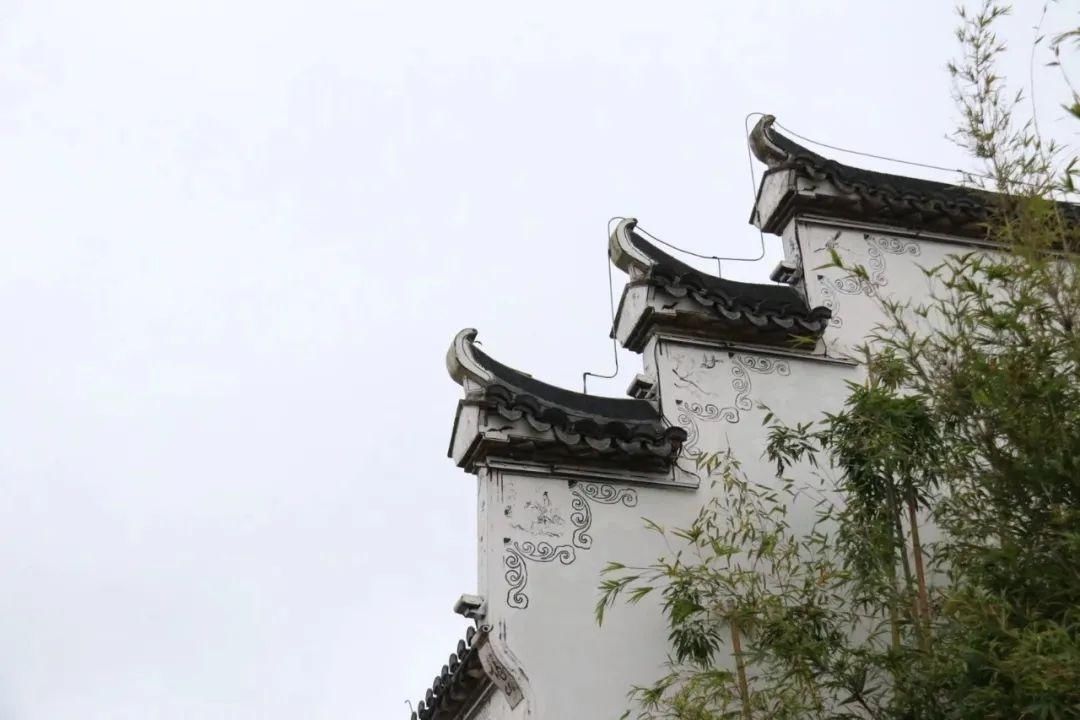  煲都画乡 康养黎川|CNT目的地 | 黎川