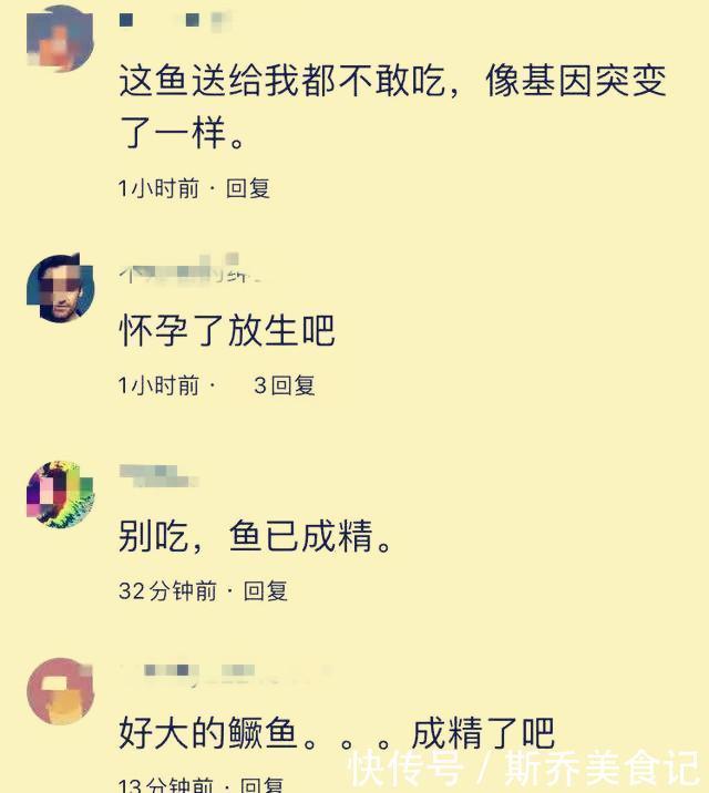 千岛湖抓获50斤的“鳜鱼王”,钓友:不敢吃!看上去像变异一样