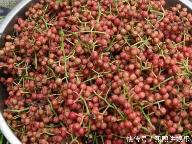 白酒|花椒放白酒里泡一泡,原来还有这种功效大家可以试试