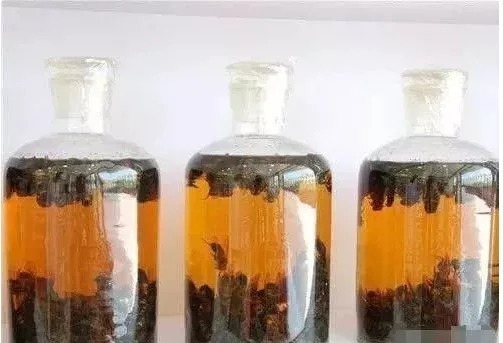 冬天鲫鱼就爱吃这饵,每次都少不了,千真万确,比商品饵厉害多了