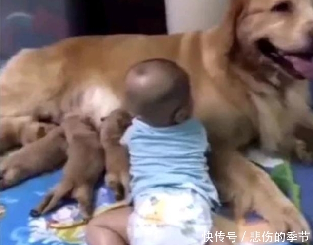 孩子|宝爸带孩子,转身发现宝贝不在,出来寻找哭了