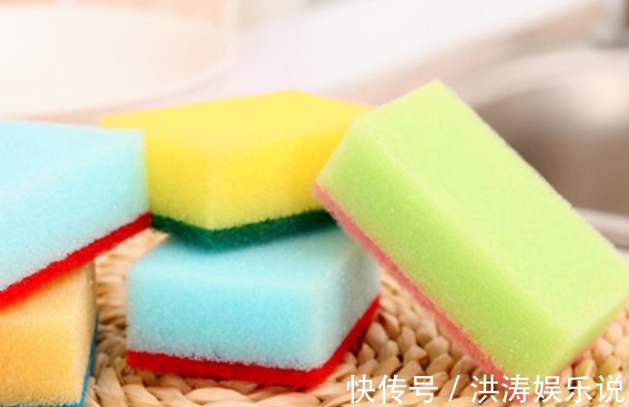 枝条|扦插好方法养花繁殖下一代,试试这3招,简单好使