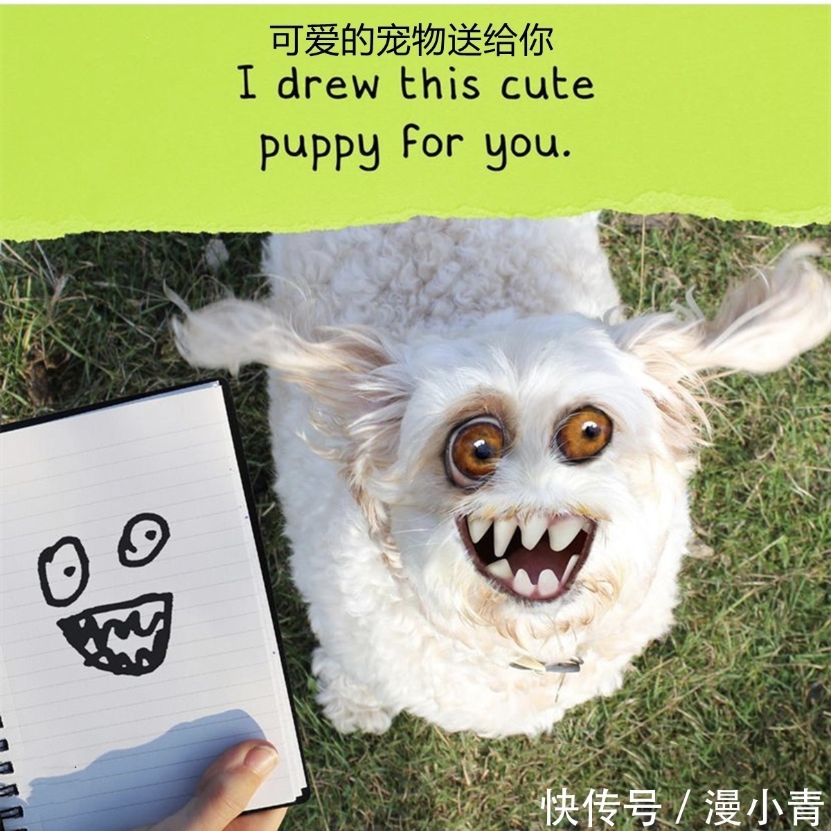 ps技术|为了鼓励孩子不放弃画画,老爸把孩子的夸张作画“搬”到了现实中