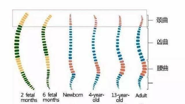 背部|别这样抱孩子了,伤了宝宝脊柱你还不知道,附不同月份的正确抱法