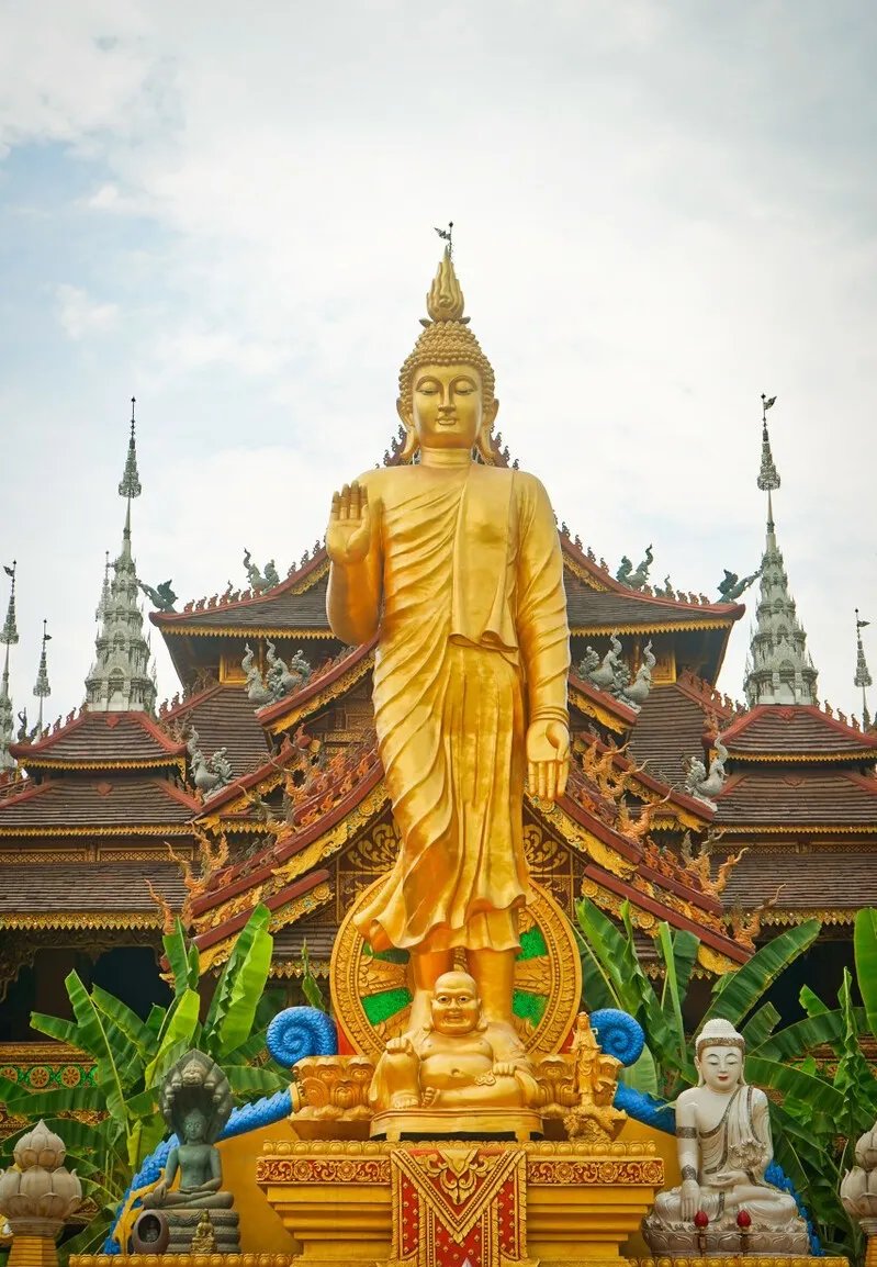 野象谷|年度最佳旅行目的地！中国唯一上榜，这座养老小城照旧那么美