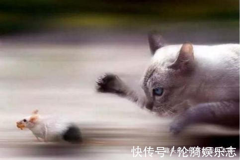 |搞笑幽默我老婆出差回来,喊道你怎么把别的女人带回家里来