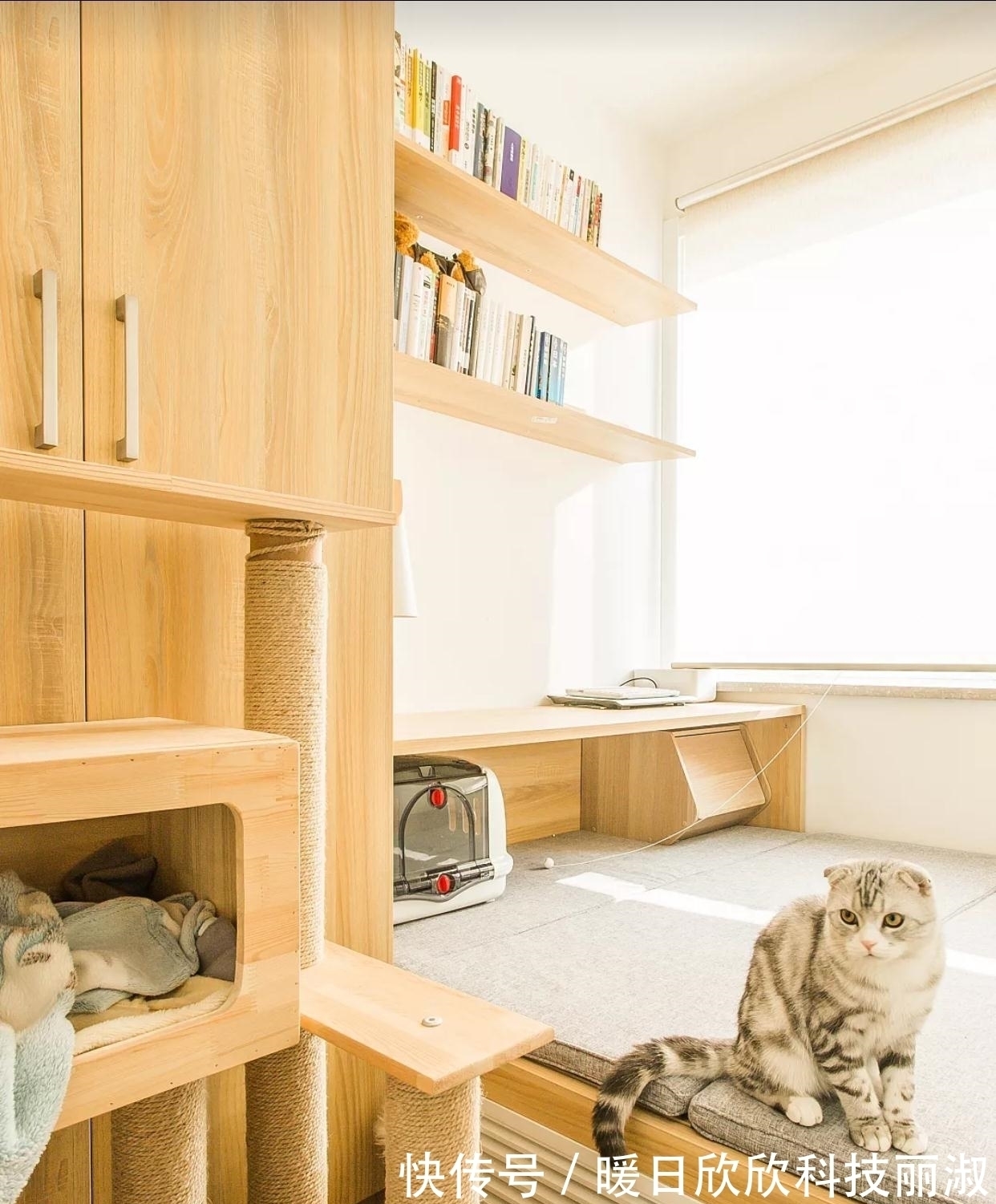 电视柜|终于入住新房,漂亮极了,入户鞋柜特别喜欢,忍不住晒晒全屋!