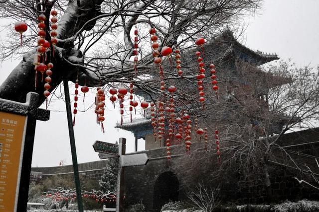 油菜花|春雪漫卷，蓬莱阁的美藏不住了！